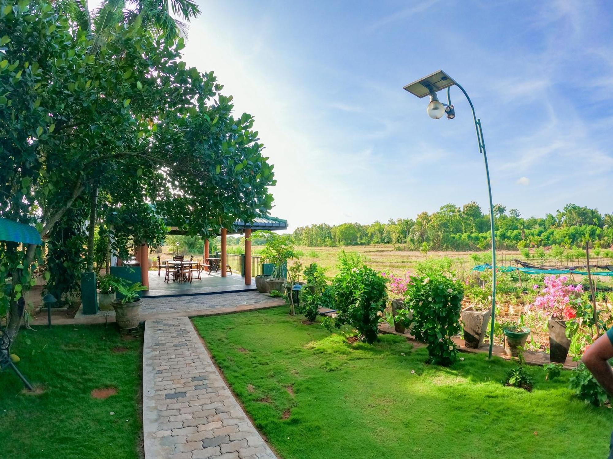 Mailagama Cinnamon Residence كاتاراغاما المظهر الخارجي الصورة